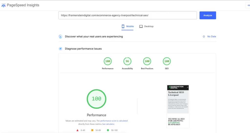 Our Page Speed Scores